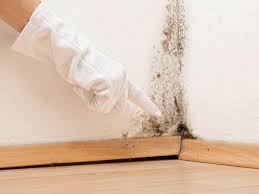 Best Asbestos and Lead Testing During Mold Inspection  in West Kittanning, PA